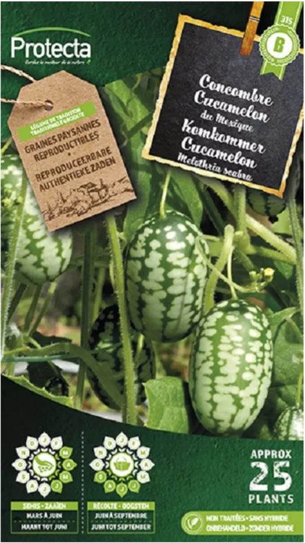 [SE-POT-00158] CUCAMELON MEXICAANSE KOMKOMMER