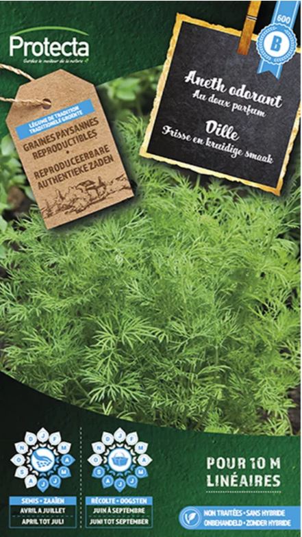 [SE-CON-00001] DILLE