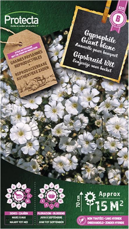 [SE-CON-00073] GIPSKRUID WIT