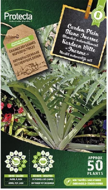 [SE-POT-00062] KARDOEN WITTE "INERME"