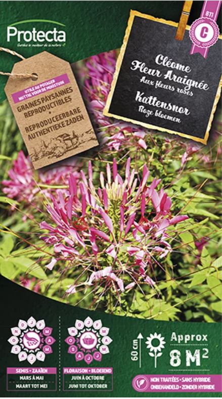 [SE-CON-00065] KATTENSNOR ROZE