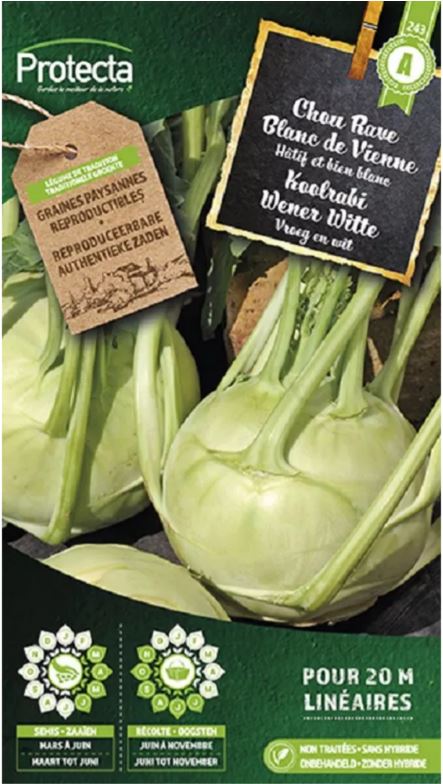 KOOLRABI WENER WITTE