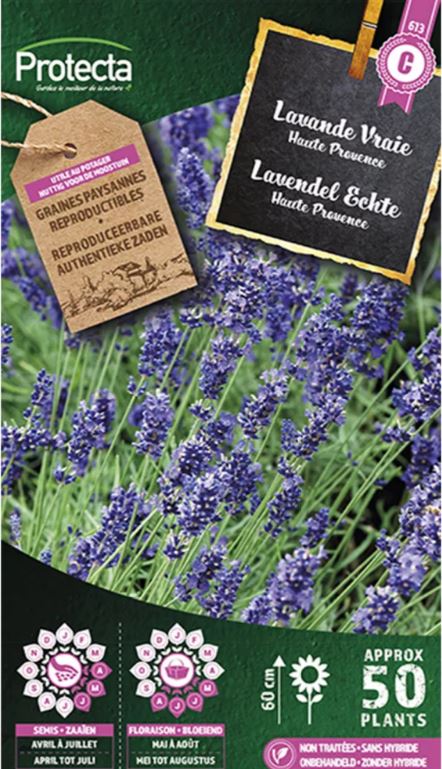 LAVENDEL ECHTE