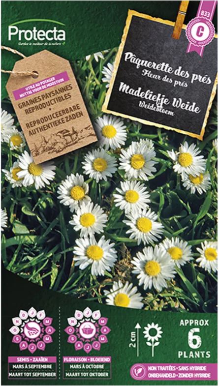 MADELIEFJE WEIDE