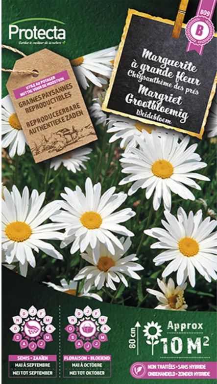 [SE-CON-00063] MARGRIET GRROTBLOEMIG