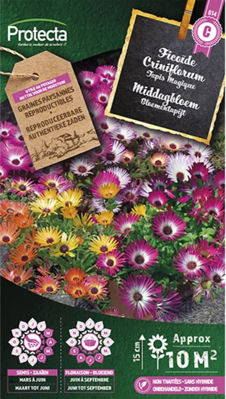 MIDDAGBLOEM MAGISCH TAPIJT