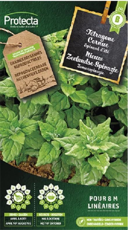 NIEUW ZEELANDSE SPINAZIE