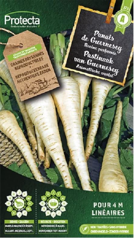 [SE-POT-00077] PASTINAAK VAN GUERNESEY