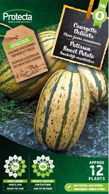 PATISSON SWEET POTATO