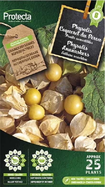 [SE-POT-00160] PHYSALIS ANANASKERS -