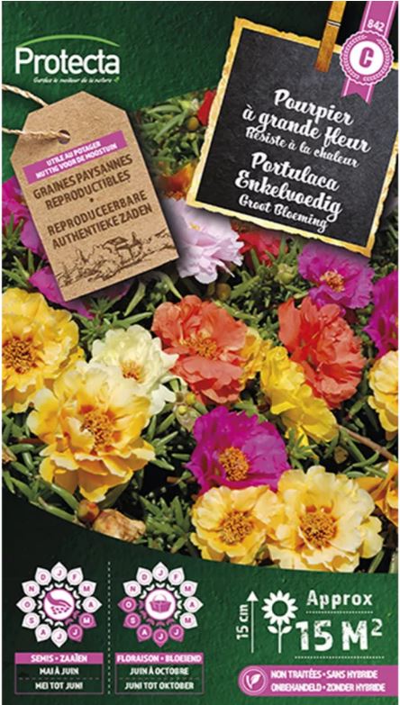 PORTULACA GROOTBLOEMING GEMENGD