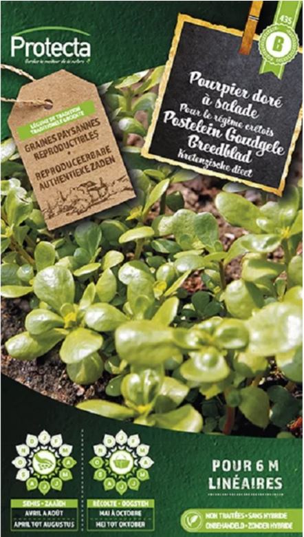 POSTELEIN GOUDGELE BREEDBLAD