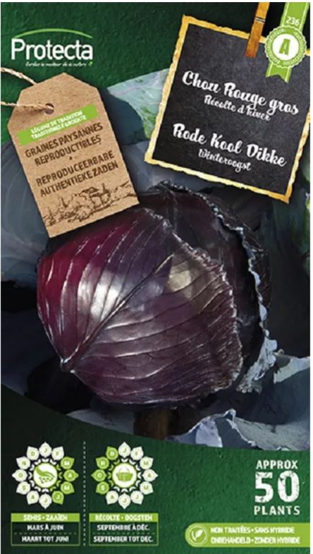 [SE-POT-00052] RODE KOOL DIKKE