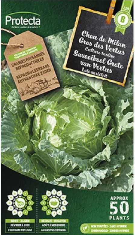 SAVOOIKOOL GROTE VAN VERTUS