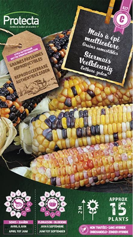 SIERMAÏS VEELKLEURIG