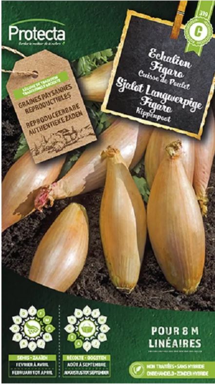 SJALOT LANGWERPIGE FIGARO