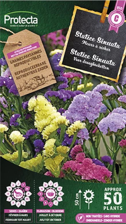 [SE-CON-00100] STATICE SINUATA GEMENGD