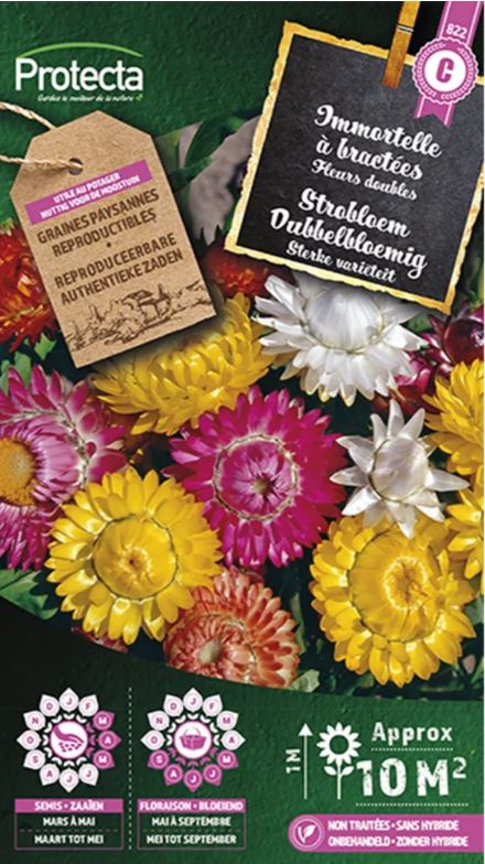 STROBLOEM DUBBELBLOEMIG