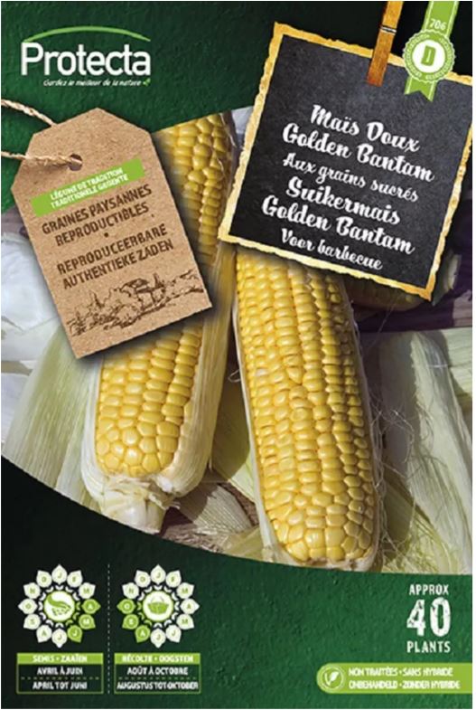 [SE-POT-00174] SUIKERMAIS GOLDEN BANTAM XXL