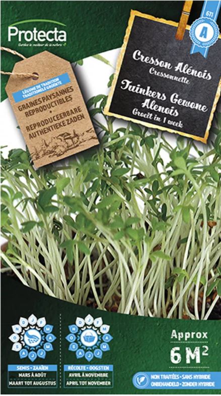 [SE-CON-00012] TUINKERS GEWONE ALENOIS