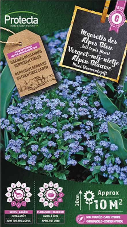 VERGEET-MIJ-NIETJE ALPEN BLAUWE