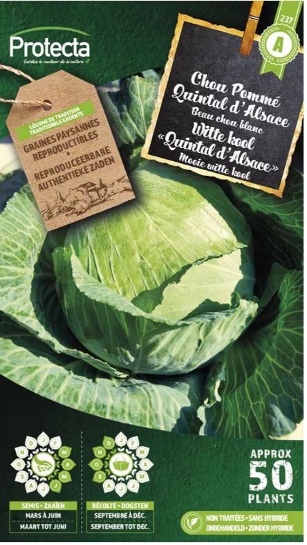 [SE-POT-00133] WITTE KOOL "QUINTAL D'ALSACE"