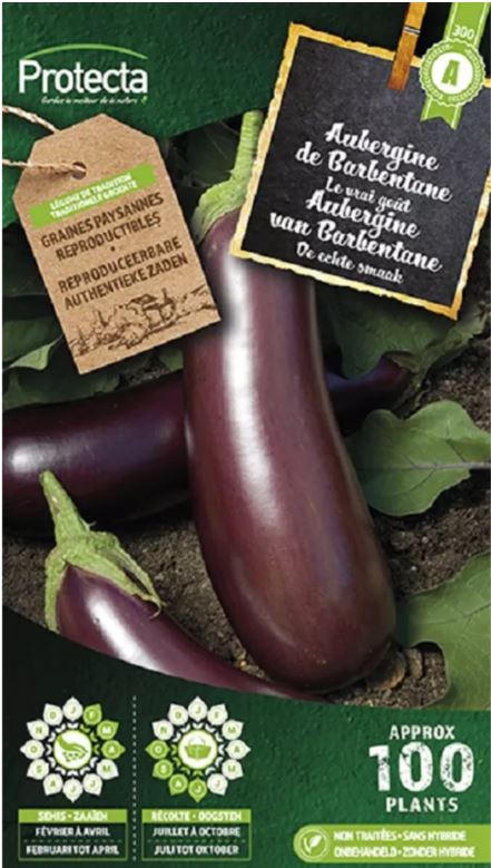 [SE-POT-00063] AUBERGINE (PAARSE VAN BARBENTANE)