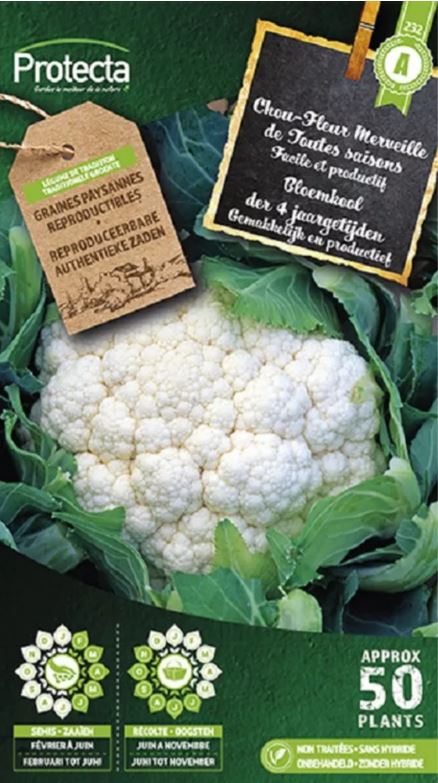 [SE-POT-00049] BLOEMKOOL (ROMANESCO)