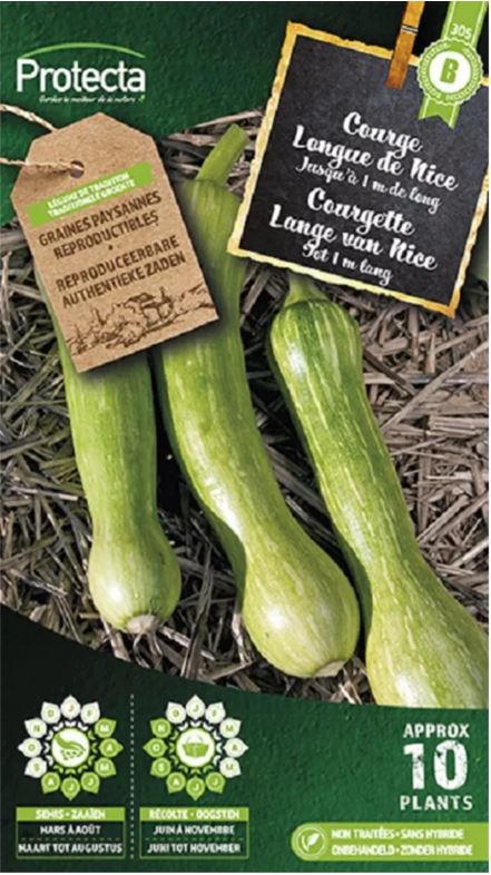 [SE-POT-00192] COURGETTE (BLACK BEAUTY FR-BIO-15)