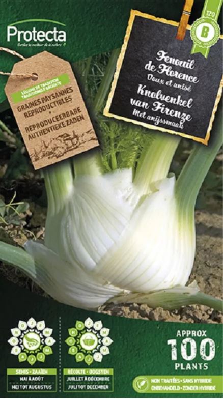 [SE-POT-00194] KNOLVENKEL (ROMANESCO FR-BIO-15)