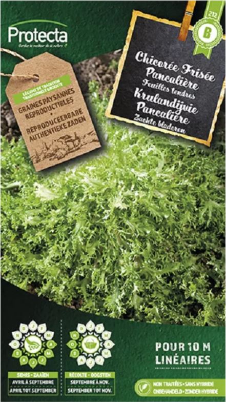 [SE-POT-00035] KRULANDIJVIE ("PANCALIÈRE")