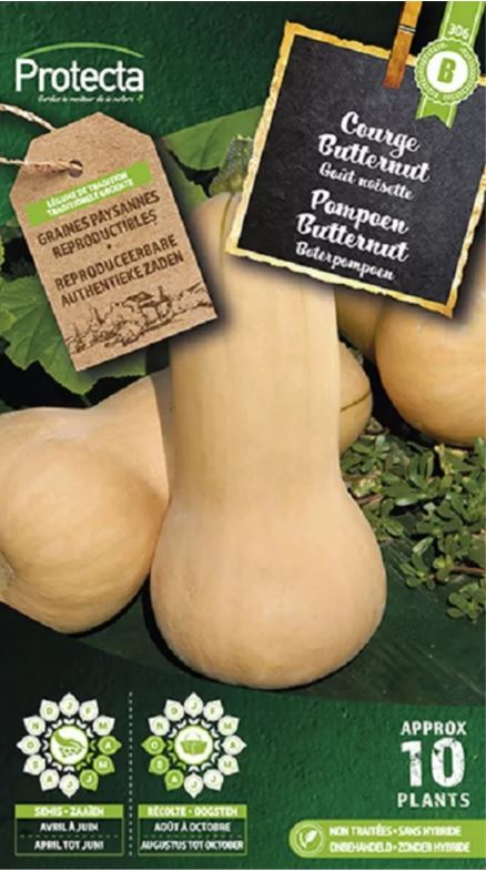 POMPOEN