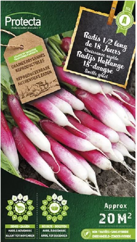 [SE-POT-00023] RADIJS (ARMOSARADJSHAFLANGE FLAMBOYANT)