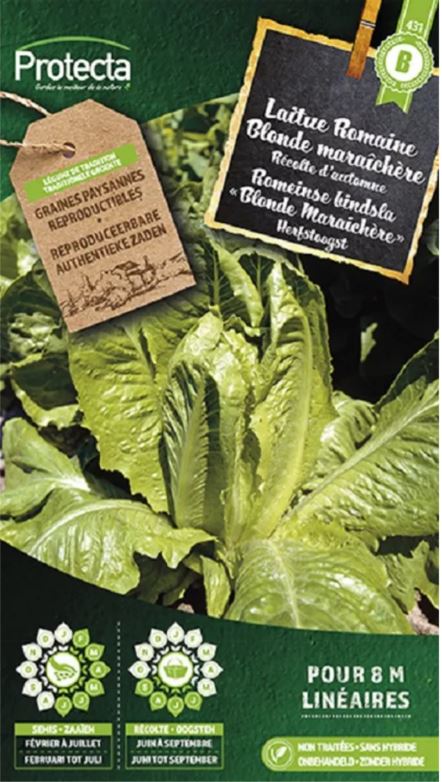 [SE-POT-00123] ROMEINSE BINDSLA ("BLONDE MARAICHÈRE")