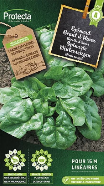 [SE-POT-00054] SPINAZIE (VIROFLAY REUZEN)