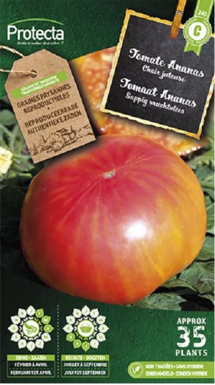 [SE-POT-00090] TOMAAT (YELLOW PEARSHAPPED)