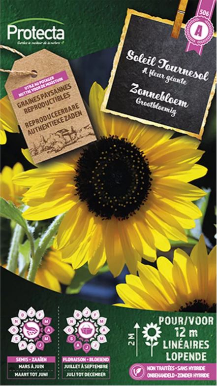 [SE-CON-00035] ZONNEBLOEM (GROOTBLOEMIG)