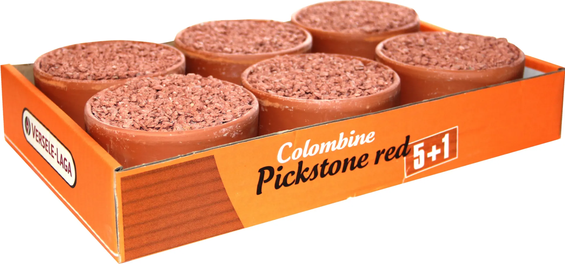 COLOMBINE PICKSTONE RED "TRAY 5 + 1" 3.6 KG