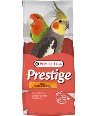 [421856] PRESTIGE GROTE PARKIETEN STANDARD 20 KG