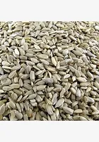 [499695] VERSELE-LAGA ZONNEBLOEMPITTEN - GEPELDE 25 KG