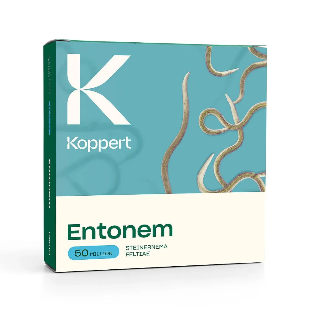 [KOPO4610] ENTONEM- 50million  TAXUSKEVER=100m²