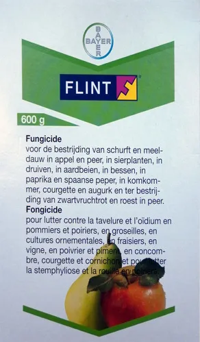 FLINT - 600 GR