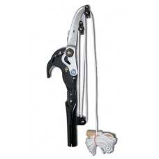 SINTUNG RUPSENSCHAAR VOOR HAYAUCHI -