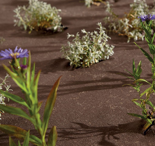 [BWTX10] BIOWEEDTEX 150 GR/M² (1 X 100 M)