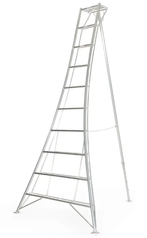 VULTUR LADDER STANDARD (enkel op bestelling)