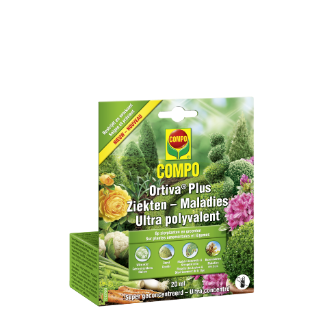 COMPO ORTIVA PLUS (10137G/B) - 20 ML