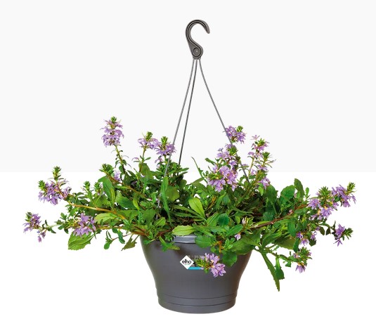 [7531943027000] CORSICA HANGING BASKET 30CM