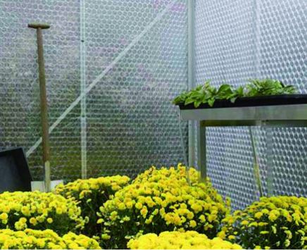 FW NOPPENFOLIE 1M x 3 M