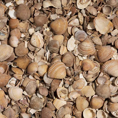 MO MBB GEWASSEN SCHELPEN 3/20 - 350 KG