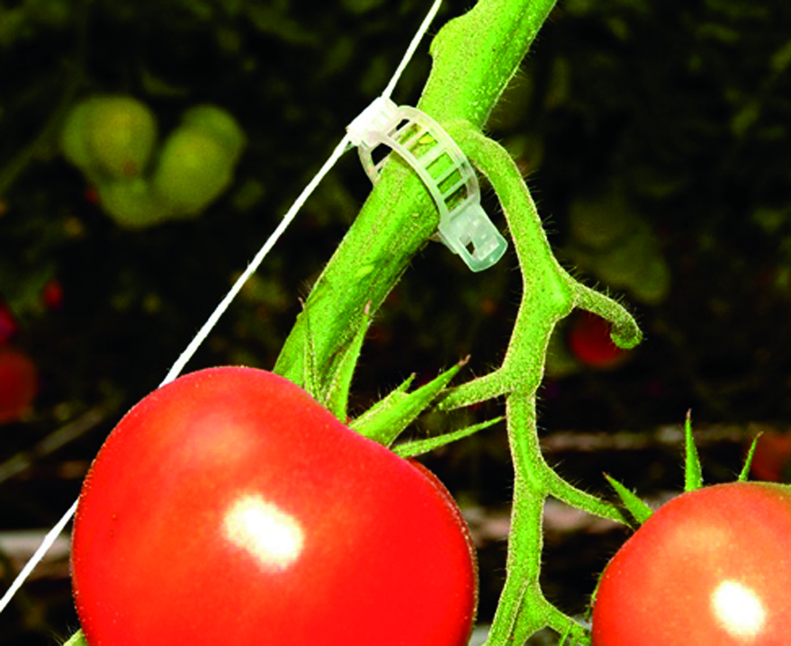 [43880] PK CLIP 22 MM - 100 ST